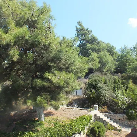 Hillcrest Dublex Apart Apartment Fethiye